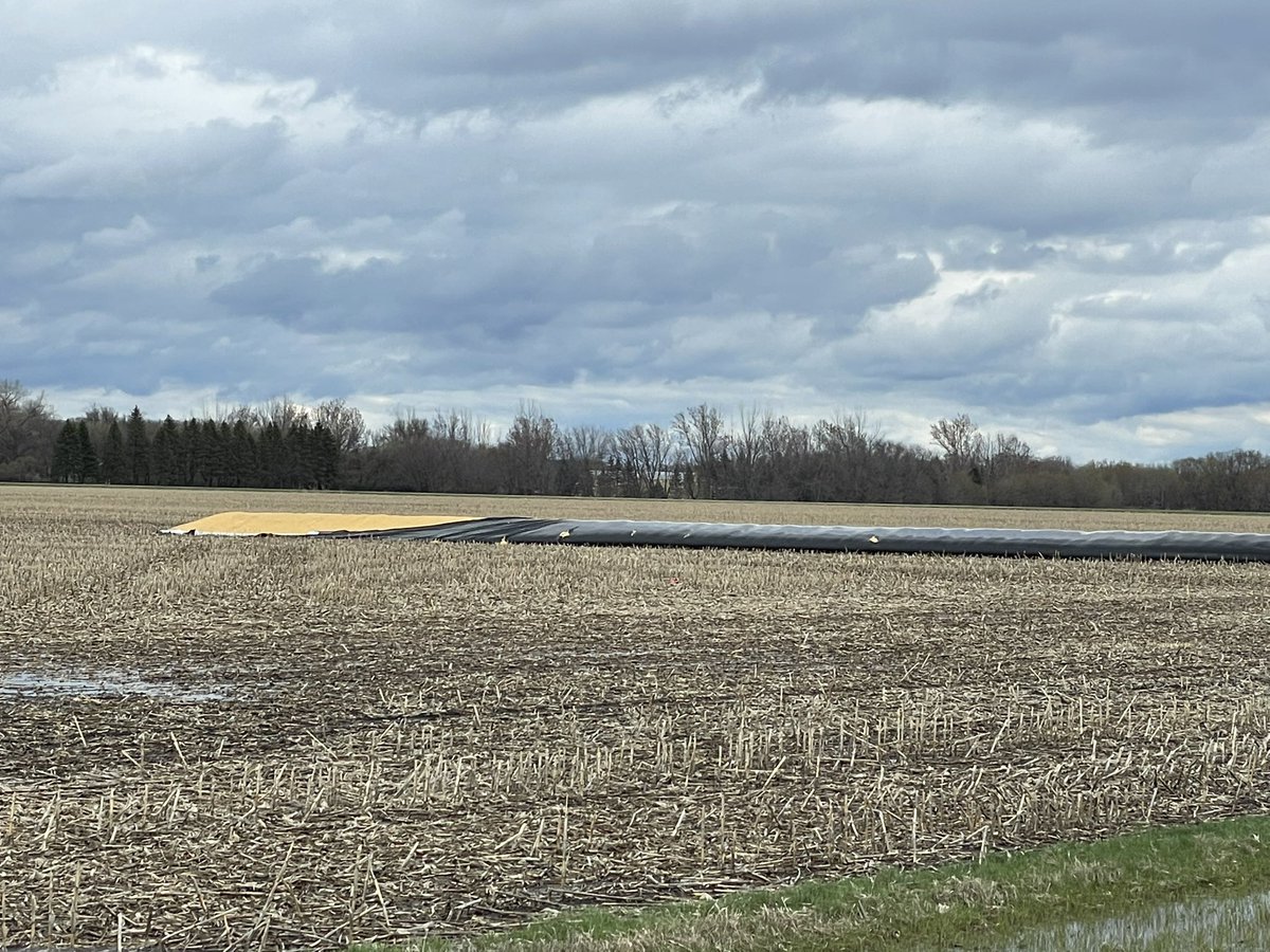 SchenckChad's tweet photo. When $5 corn off the combine wasn’t enough! https://t.co/sVGLUOZ9Gq