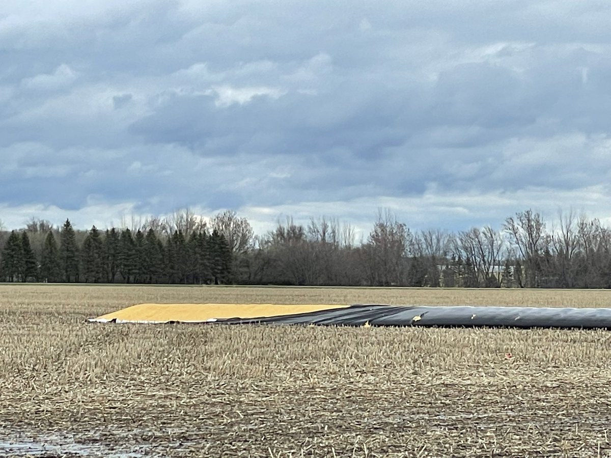 SchenckChad's tweet photo. When $5 corn off the combine wasn’t enough! https://t.co/sVGLUOZ9Gq