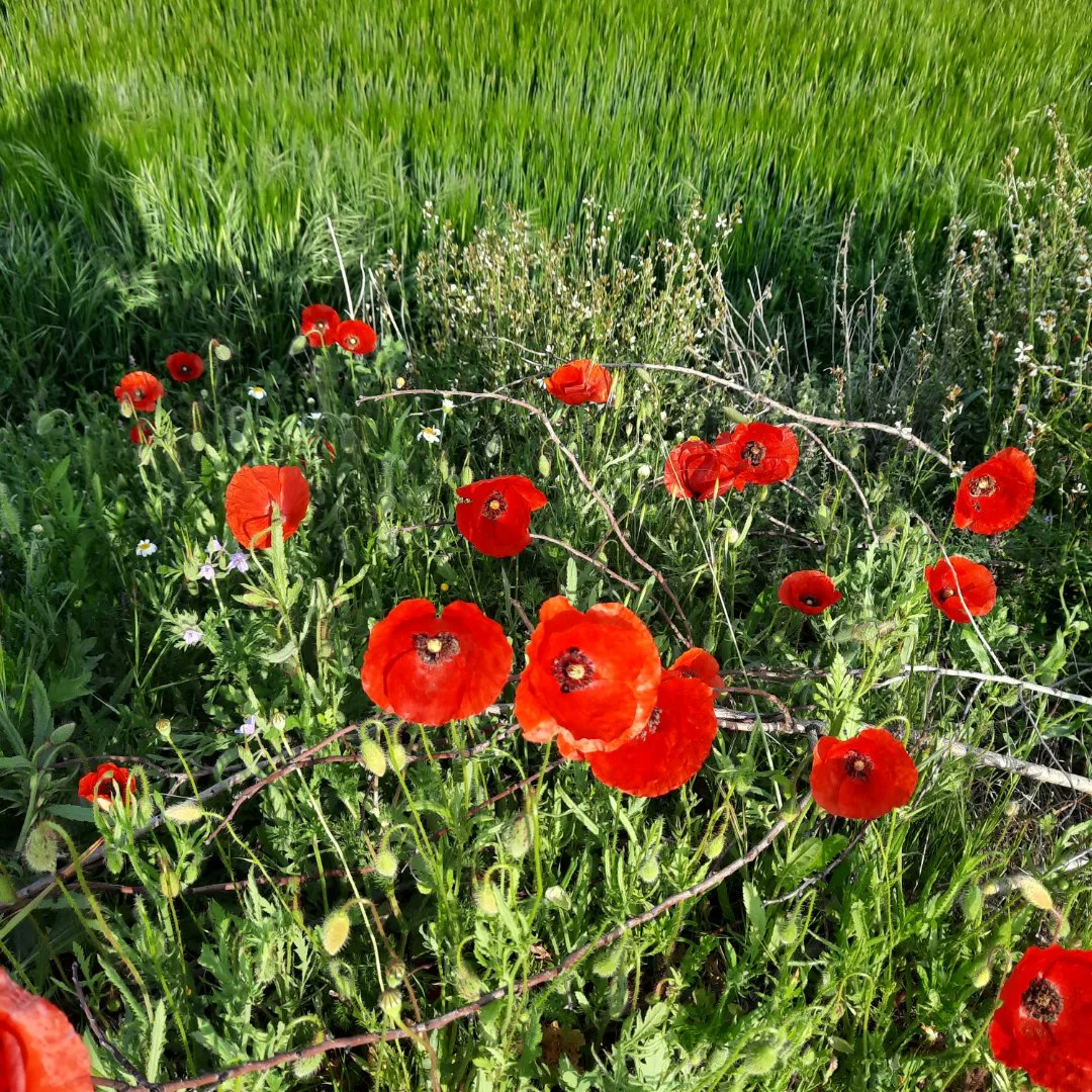 Pase, y pasan cosas, seguro que llega la primavera