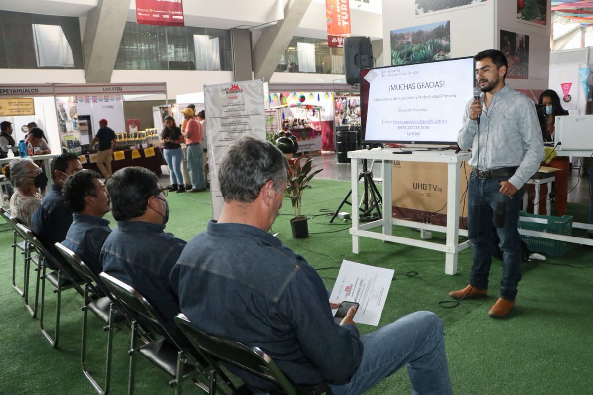 SDRGobPue's tweet photo. Durante la #FeriaDePuebla2022, se realizó el foro “Registro de Fierro Marcador”, para productoras y productores ganaderos a fin de fortalecer al sector pecuario en este requisito indispensable en su producción. 🐂🐄 https://t.co/ARw26ORyiL