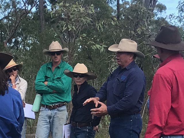 NQ Dry Tropics tweet media