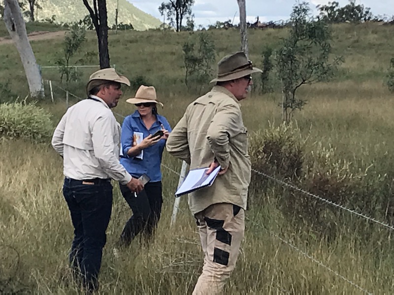 NQ Dry Tropics tweet media