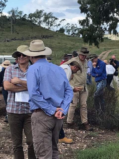 NQ Dry Tropics tweet media