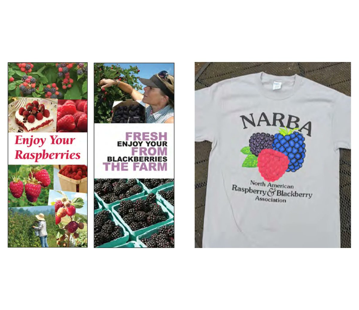 raspblackassoc's tweet photo. NARBA has raspberry &amp; blackberry recipe brochures available for purchase as well as  T- shirts available in limited sizes. Order this week &amp; receive just in time for berry season!

https://t.co/230h4AJHYv

#NARBA #berrygrower #raspberryfarm #blackberryfarm #bramble #berryfarm https://t.co/Jz6Y7BuE4t