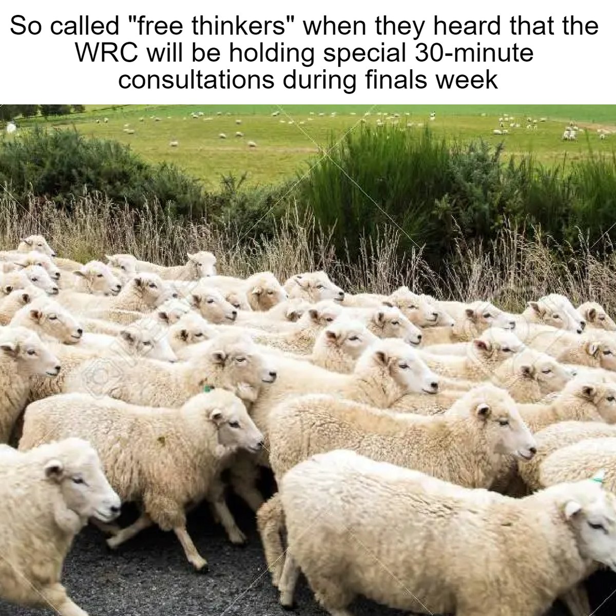 W&M Writing and Communication Center tweet media