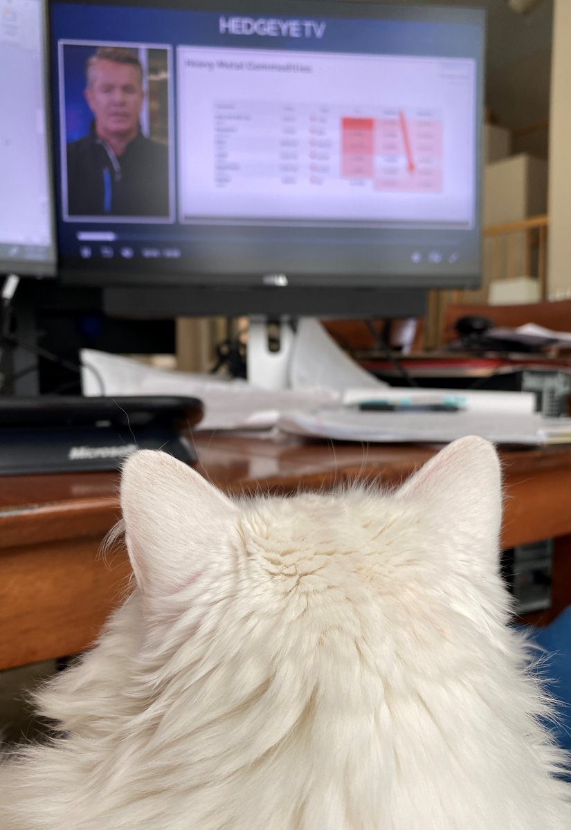 altavest's tweet photo. @KeithMcCullough Thoughts: 1) Re the HP 12C…could have never made it through stats and finance w/o one! 2) the cat loves watching the #macroshow…they’ve been killer lately! 3) #hedgeyeprocess works…but only if you #fadeyourfeelings and #oodaloop https://t.co/xBYBtfzNIe