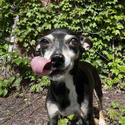 Patttonn3's tweet photo. #NewProfilePic https://t.co/u5GLZgSvR3