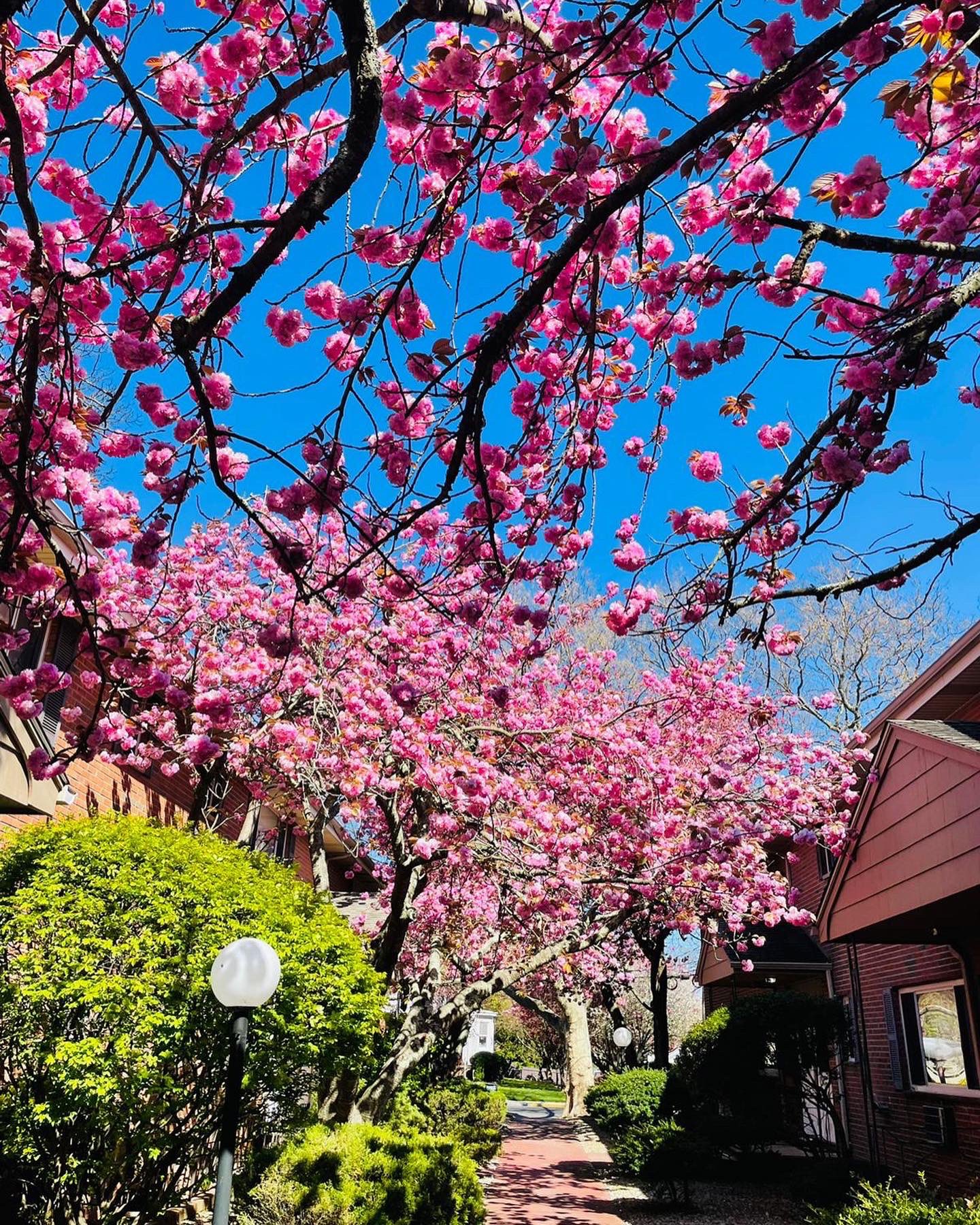 Montefiore Im Residency: Compensation, Perks & More! - gazpoug