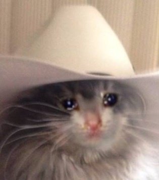 HFuangel's tweet photo. Les mentí, que hoy toca ensayo del ratón vaquero para mañana
Prendemos directo 6:45 - Twitch: Hey_fuangel https://t.co/CNuP8w4fhj