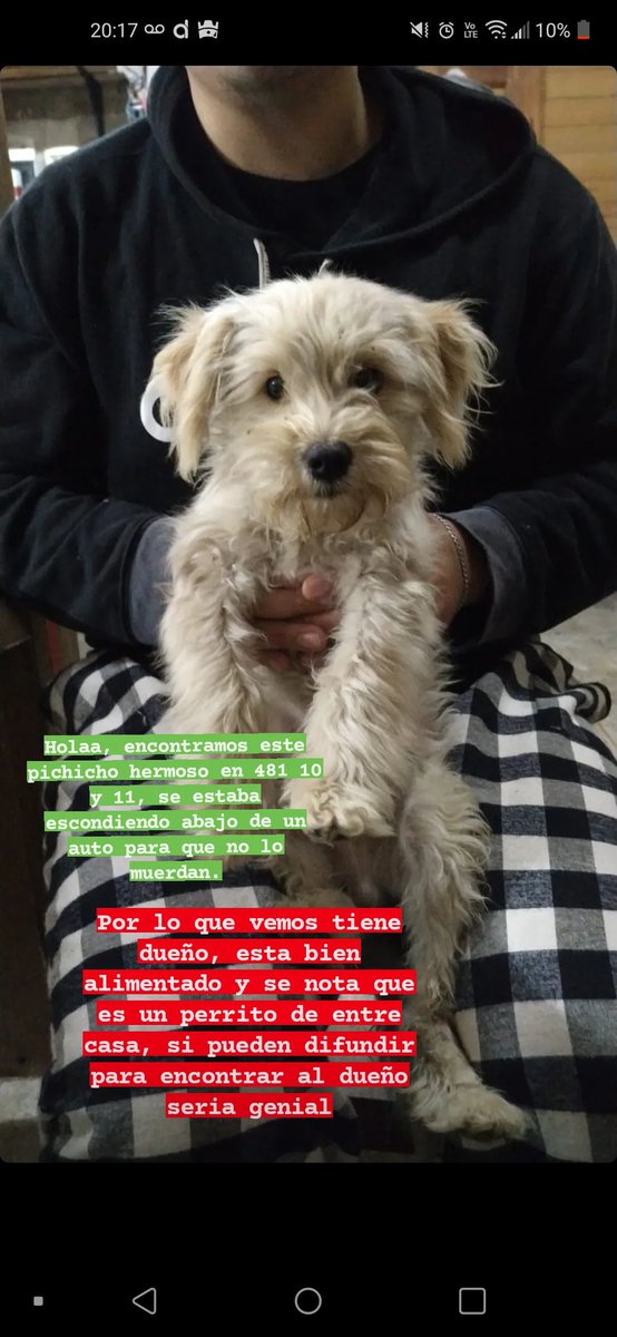 juanvil7a0's tweet photo. Difundir. Lo encontramos en barrio savoia. City bell, La Plata. No importa que no sean de aca, difundan porque tal vez lo robaron y los descartaron por acá. https://t.co/IuS3UX061r