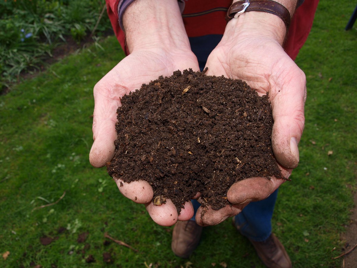 Hands holding fresh compost