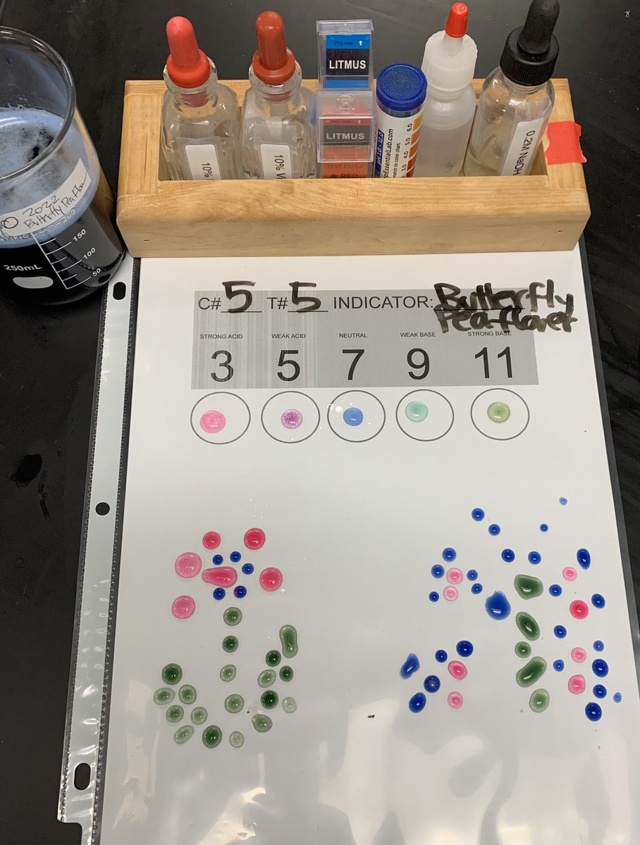 born4chem's tweet photo. #Chemistry students extracted #pigments from plants (red cabbage, butterfly pea plant, beets, leaves) to create #acidbase #indicator #pHscale #art
we are all about that base!No acid! https://t.co/2bIKNwrHN0