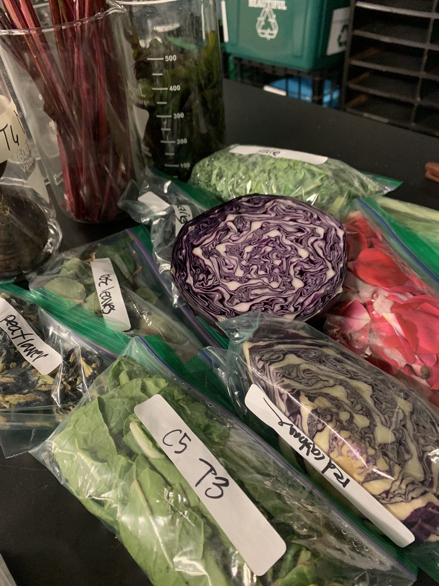 born4chem's tweet photo. #Chemistry students extracted #pigments from plants (red cabbage, butterfly pea plant, beets, leaves) to create #acidbase #indicator #pHscale #art
we are all about that base!No acid! https://t.co/2bIKNwrHN0