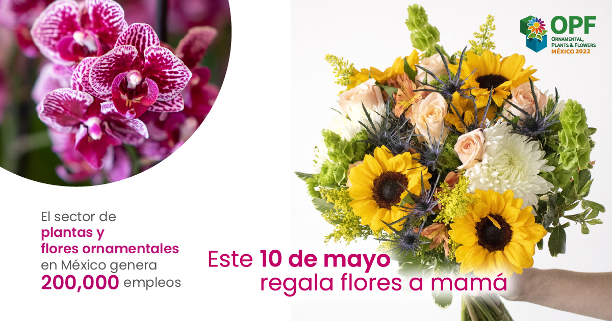 OPFexpo's tweet photo. ¡Llegó una de las temporadas de venta más fuertes para los productores ornamentales en México!

¡Este 10 de mayo sorprende a mamá con un bello arreglo floral, una bella planta o un ramo de flores!

https://t.co/CTStCP8yTI

#regalaflores #10demayo #diadelamadre #opfexpo https://t.co/bCRiJ6eAPc