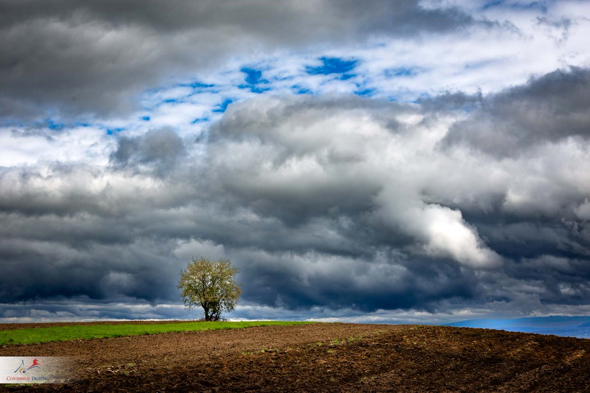 covinnus's tweet photo. #Spring in #Transylvania. Explore it, enjoy it, and feel it during our #tours. #Romania #travel #phototours #photography #landscape #nature #clouds #toursofRomania #CovinnusTravel https://t.co/g8EdUMQKVS