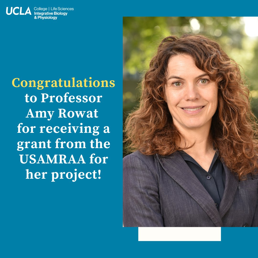 UCLA IBP (@uclaibp) on Twitter photo Congratulations to Professor Amy Rowat for receiving a $662k grant from the U.S. Army Medical Research Acquisition Activity (USAMRAA) for her project titled, “NUDT5 as a Novel Target for Ovarian Cancer.” We are excited to see what amazing research comes out of this project! Congratulations to Professor Amy Rowat for receiving a $662k grant from the U.S. Army Medical Research Acquisition Activity (USAMRAA) for her project titled, “NUDT5 as a Novel Target for Ovarian Cancer.” We are excited to see what amazing research comes out of this project!