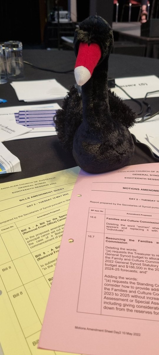 RenaeLBarker's tweet photo. Swan is busy trying to understand all the proposed amendments to bills and motions at General Synod #gs18 #gs18aca https://t.co/PvuO1aEvxj