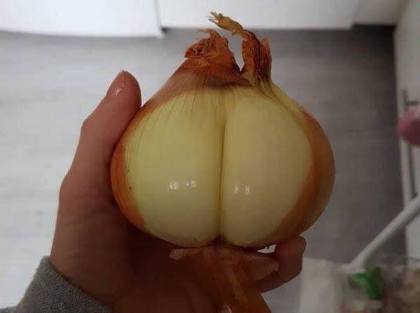 Watch Foodies's leaked NSFW photo on TwXstars