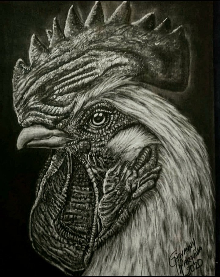 GiovannyMarRuj's tweet photo. #10mayo Día Nacional del Artista Plástico, una fecha que conmemora el natalicio de uno de los hombres que mayor legado artístico y cultural ha dejado al país, Armando Reverón. Invito a los Merideños al #museodeartecolonial donde Expondré mi obra hiperrealista "El Gallo que manda" https://t.co/KzF0Z63izE