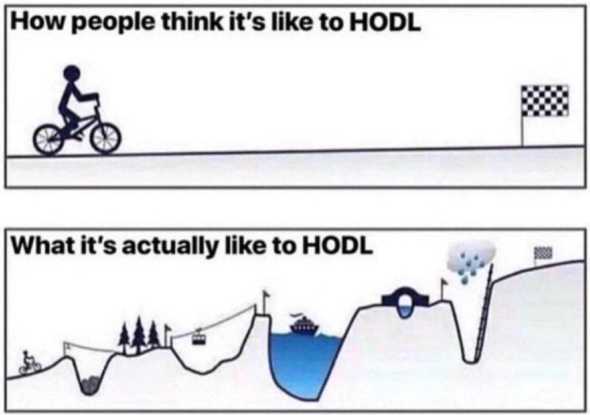 not here tweet media