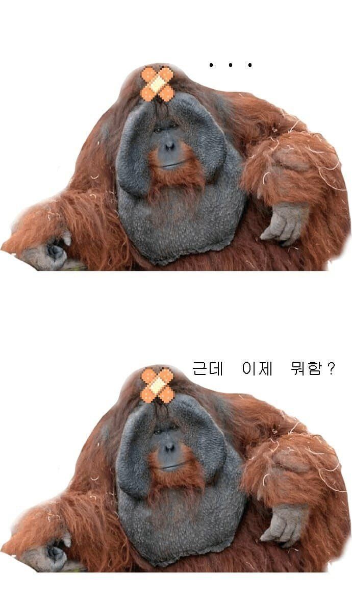 demines7758's tweet photo. 마듀 다1 달성☆★🤸‍♀️ https://t.co/wSAT0TsYgX