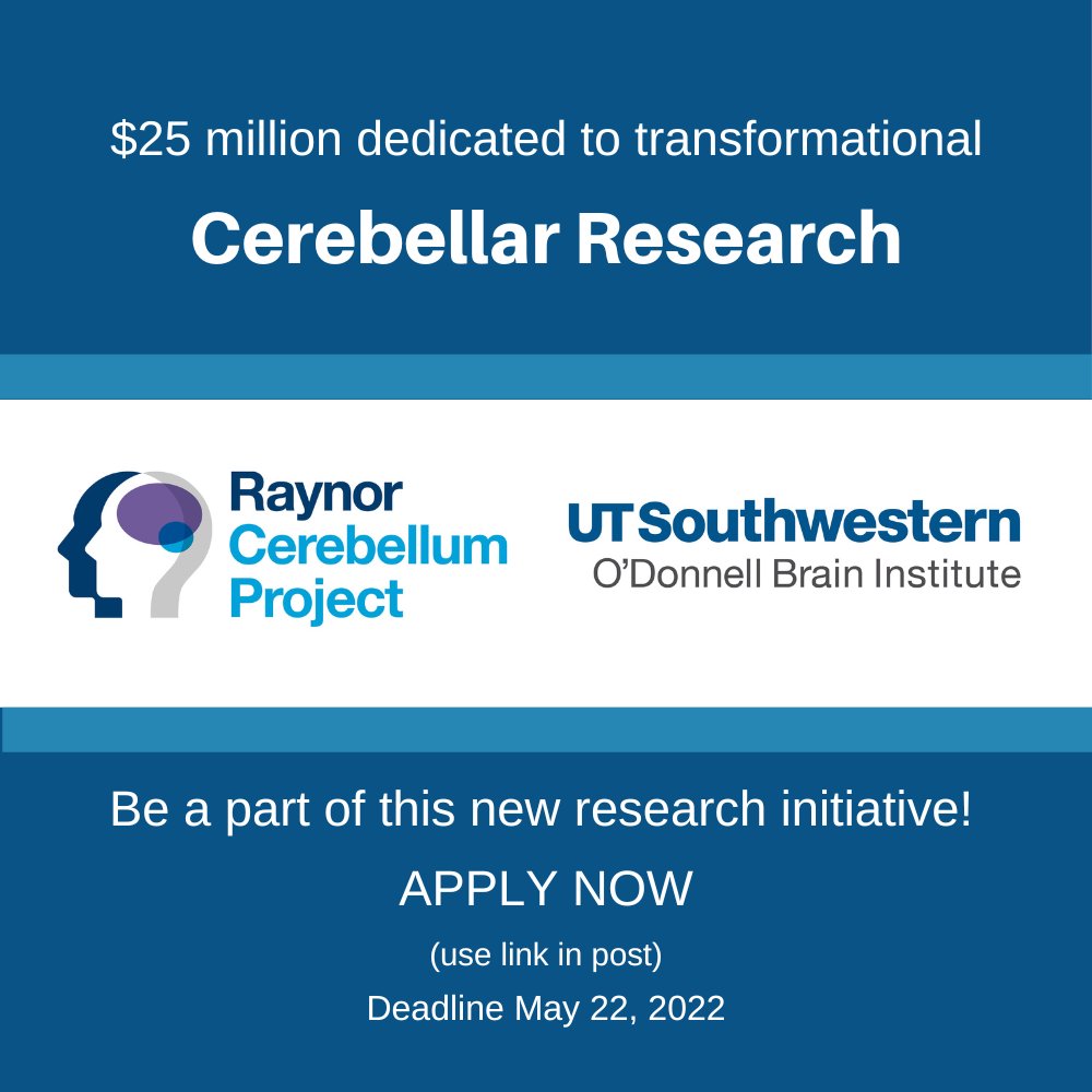 Bill Dauer tweet media