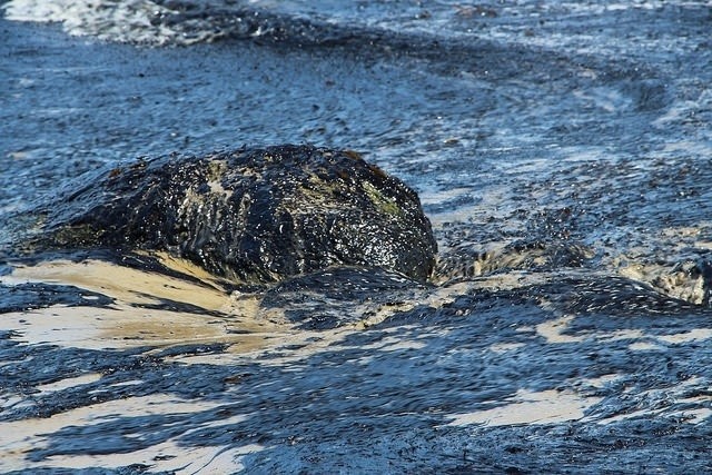 DanBacher's tweet photo. #SB953, a bill to ban #offshoredrilling in #CA waters, passed out of Senate Natural Resources & Water Committee April 26. Authored by Sen. Dave Min, the bill is on suspense & outcome will be determined by Senate Appropriations Comm. May 19. #CalifMPAs https://t.co/v8VOVgry7X https://t.co/5SG1qg7p3i