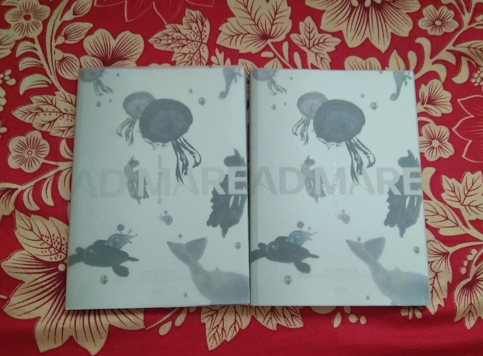 withnmixx's tweet photo. wts lfb ph #withnmixxsells

nmixx unsealed light ver album
⤷ payo or 2 day reservation
⤷ 100 php, 70 if payo
⤷ onhand

mop: gcash
mod: flash express

reply/dm to claim

[ wts wtb lfs lfb ph nmixx unsealed light ver album ] https://t.co/8cNollAiLM