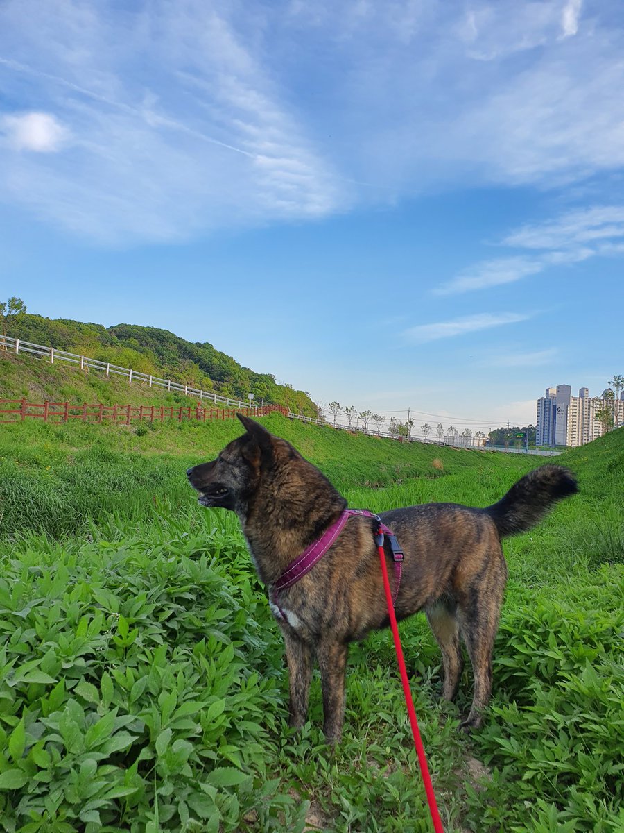 살다보니 이런 세상이 왔지만 
변하지않는 건 선인들의 경험은 부정할 수
없다는 것.애써 세상을 바꿨다고 기뻐했고
반드시 세상은 바뀐거라 인정하고 싶었지만 뭣이 바뀐 건지 우리는 늘 힘겨운
세상을 살았고 앞으로의 삶도 녹록하지
않을 것이다. 다만 미래는 좀더 나아지리라
희망을 품을 뿐이다.