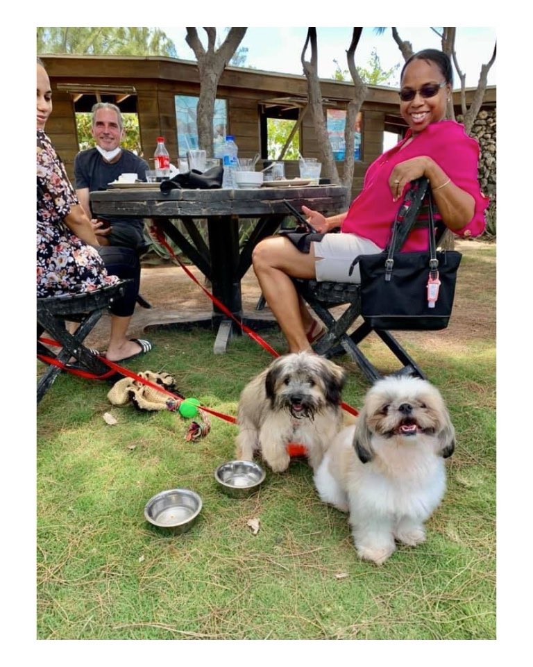 animalflower246's tweet photo. #CaveDogs
Dogs are welcome at the Cave, we have a separate dining space for them and you. (Weather permitting as it is under the trees)
When you make your reservation just mention in the notes you need a ‘dog table’
We love to meet all your doggos! https://t.co/Wy3POBbmtq