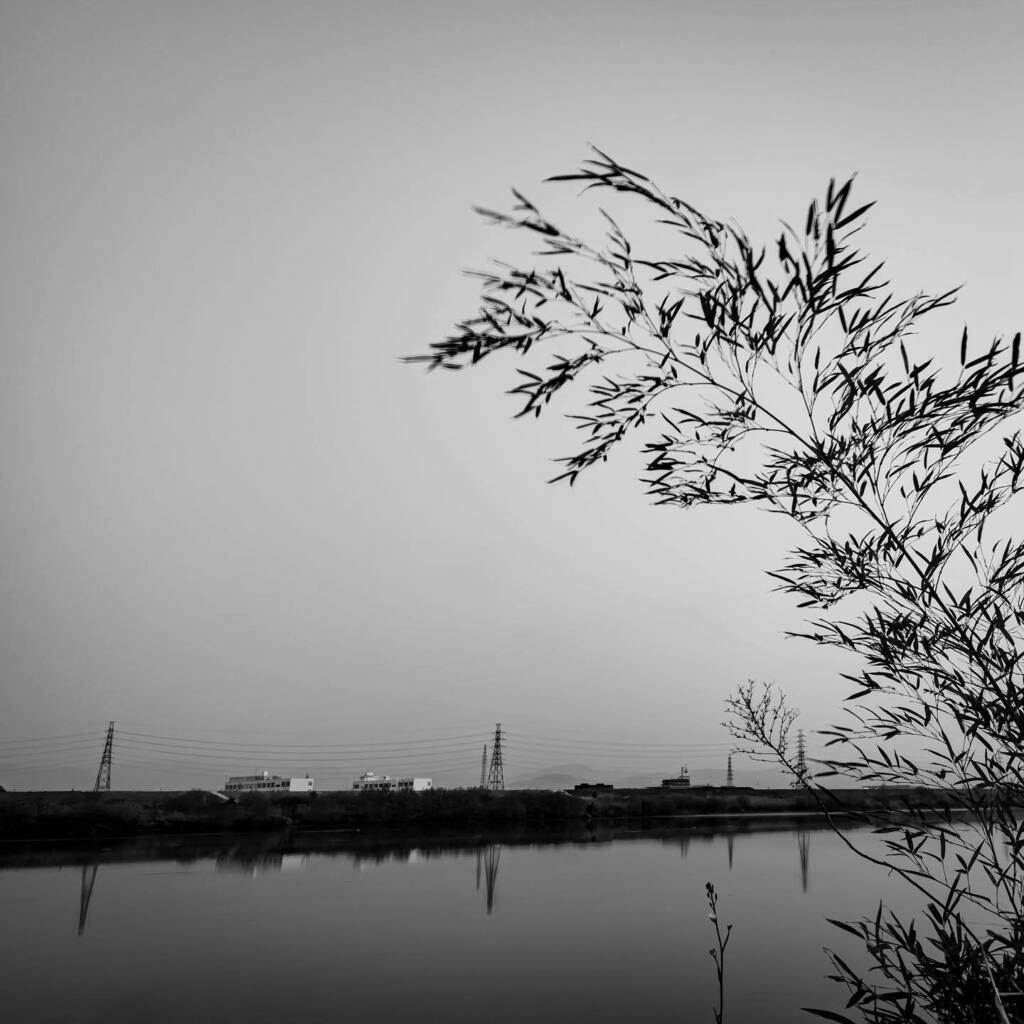 narcis_D's tweet photo. Yodo river 4. 

淀川 四。

#soramimiplus
#snapshot
#moment
#focus
#composition
#capture
#art
#all_shots
#monochrome
#monotone
#blackandwhite
#bnw
#写真好き
#ファインダー越しの私の世界 https://t.co/ne8NalwVxR https://t.co/kwaaBj86pn
