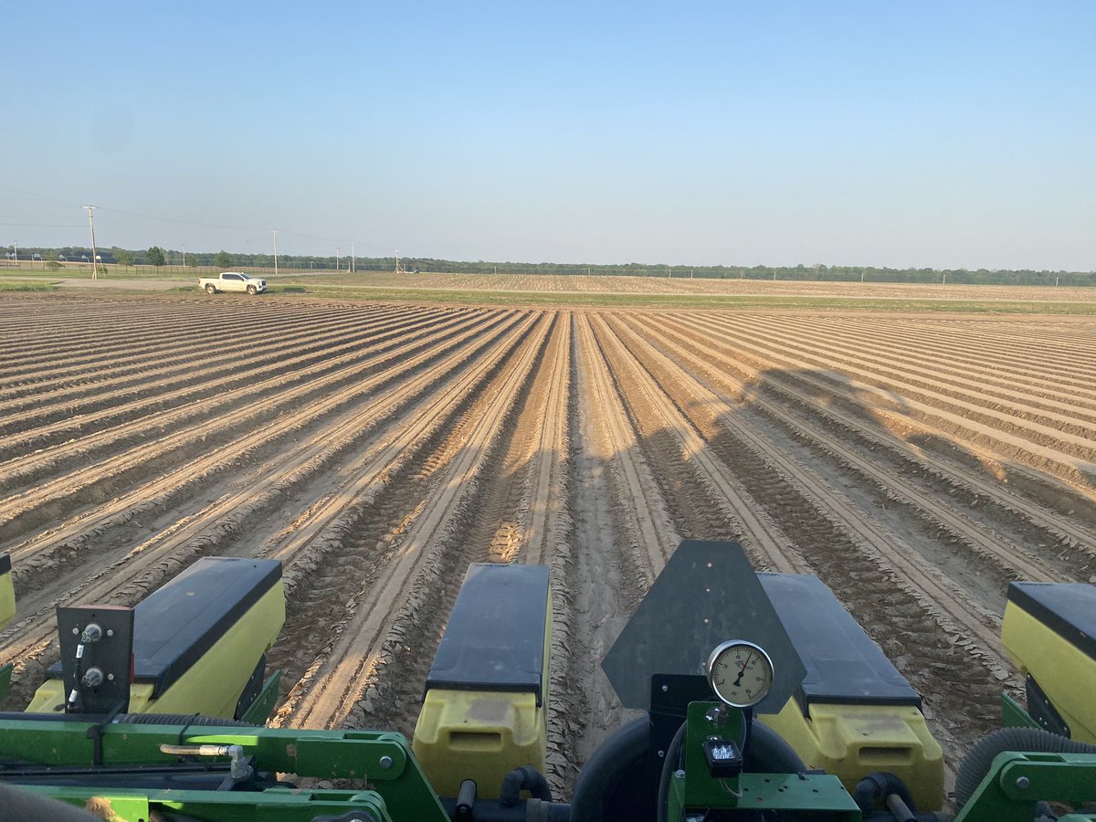 Cotton going in today at Newport