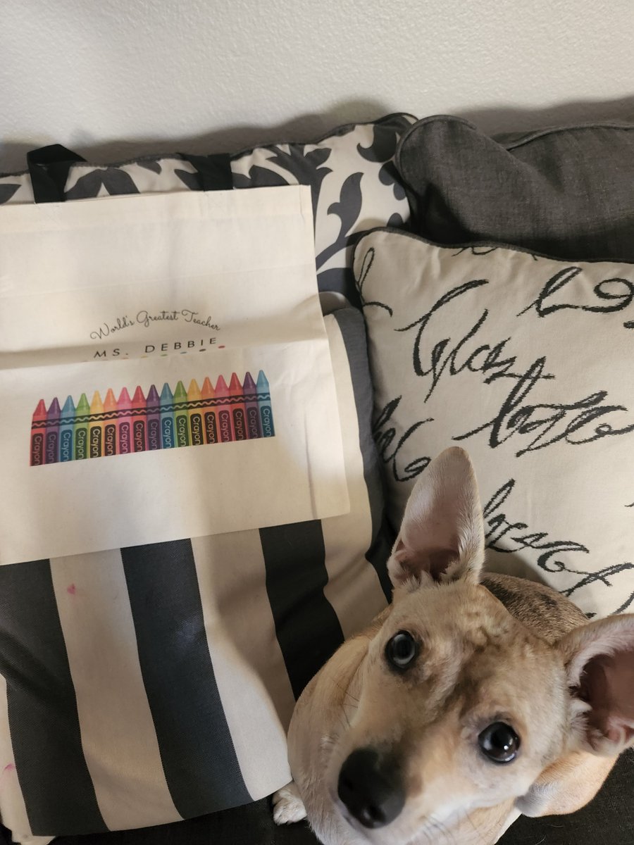 AchiDeb's tweet photo. This came in the mail today. And my puppy thinks it's for her. Thanks @theclimatechick, I will do my best to live up to this bag. https://t.co/9DNoMJvq8m