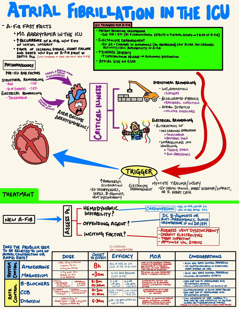 New onset AFib in the ICU. I don’t have much experience in using magnesium in these patients. After reading this article, it seems like a really good option. Any strong opinions on management of New AFib? #MedTwitter #ICU #FOAMcc 

pubmed.ncbi.nlm.nih.gov/29627355/