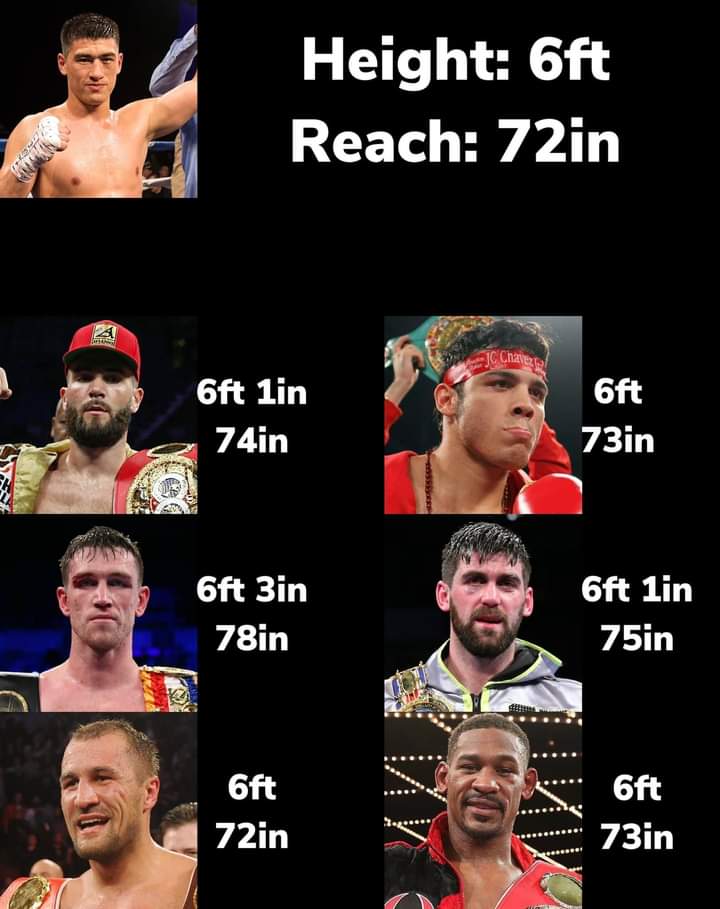 bombs boxing™ tweet media