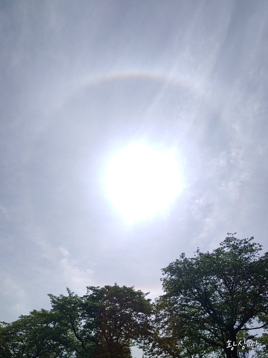 환한 빛이 그리워 질려나..