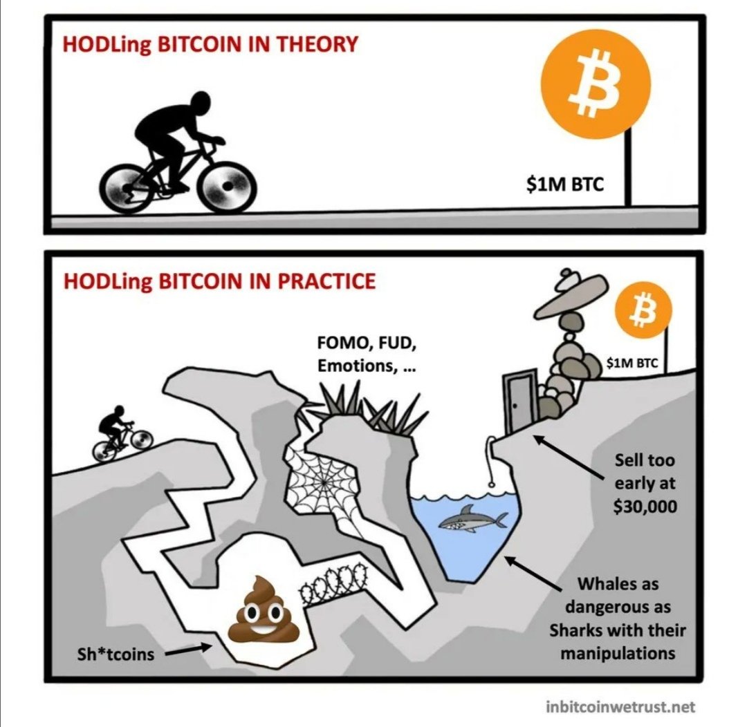 META_Memeverse's tweet photo. The struggle is real

#crypto #cryptocurrecy #cryptotoken #cryptocoin #CryptoNews #cryptotrading #CryptocurrencyNews #BSC #BSCGem #BinanceSmartChain #meve #Bitcoin #Solana #doge #SAFEMOON #Ethereum #Polygon #metamemeverse $meve $MEVE https://t.co/nhPC1gZJKP