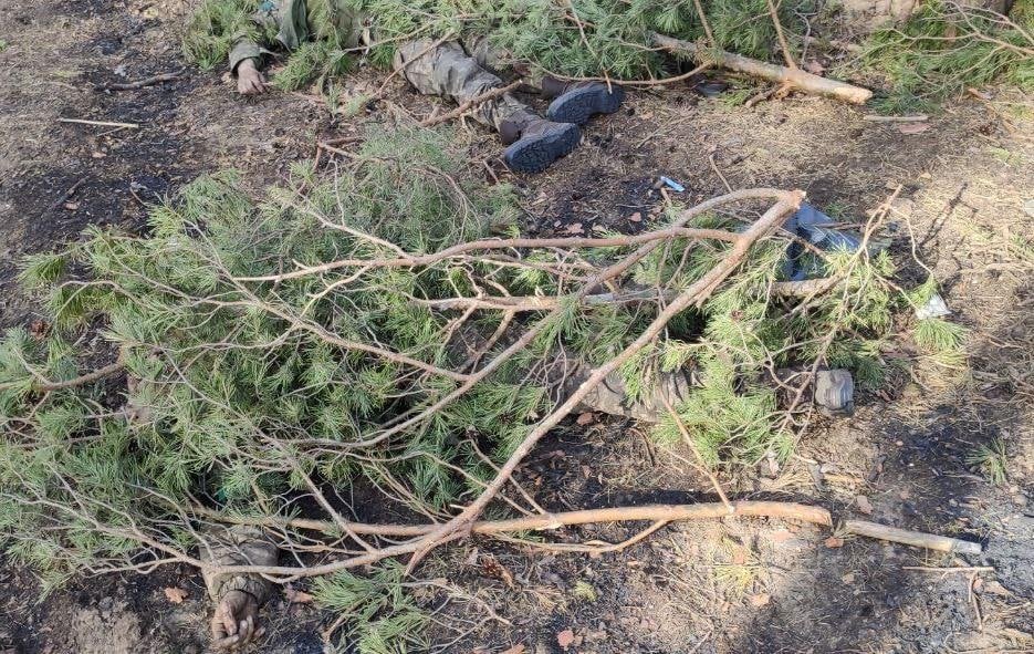 ManfromRussia4's tweet photo. Corpses of Ukrainian soldiers at the positions of the Armed Forces of Ukraine in the village of Voevodovka, LNR. Their comrades-in-arms decided not to bury them, but simply to cover them with branches. And if they had surrendered, they would have been alive.
#UkraineRussiaWar https://t.co/QN2gAFSYRP