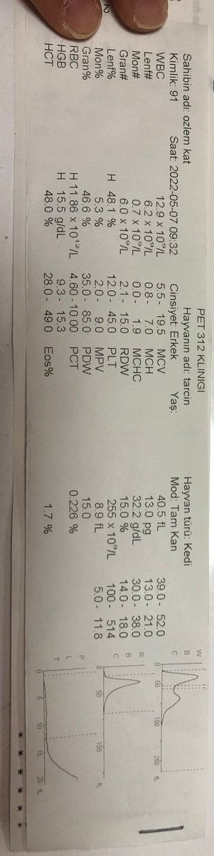 Paşa ( fib) tedaviye cvp veriyor ancak desteğe ihtiyaç var. Destek olmak isteyenlere el emegi ürünler gönderilecek. Lütfen çorbada tuzunuz olsun. 0537 7615404