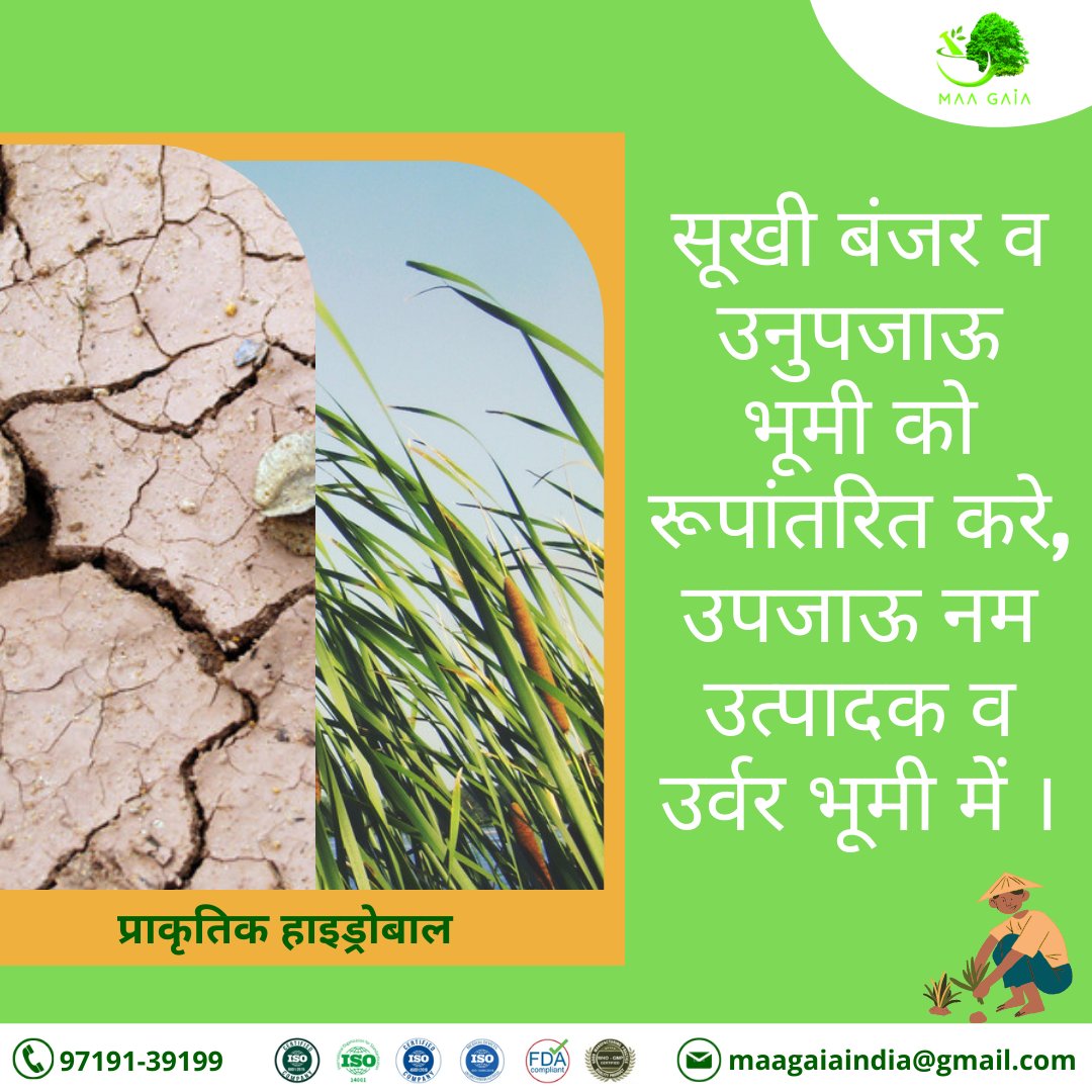 PunneetSobti's tweet photo. #hydroball #organicfarming #naturalhydroball #punneetsobti https://t.co/0ZduVerQx3