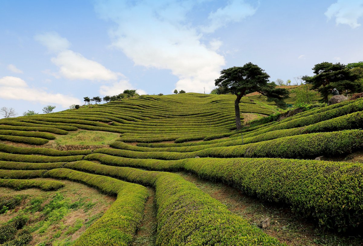 랜선국토Trip \, image size:1200x815