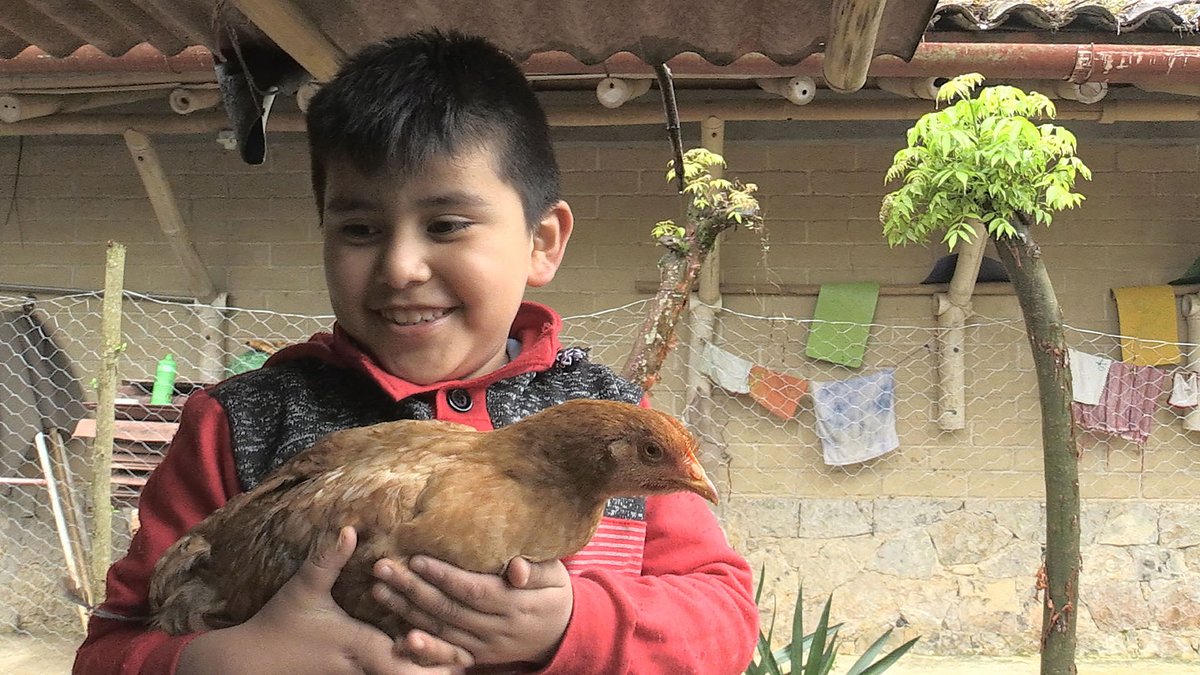 AmbulanteVer's tweet image. 🎥 Ambulante Más Alla. Raíces y afectos.

🎬 &quot;Escuela de todos - Kalnemachtiloyan&quot; de Ivan Zamora
Mica y Gabriel, dos tamachtijkej (aquel que enseña), promulgan las enseñanzas de los abuelos, 

🗓 Viernes 13 de mayo
⏰ 19:30 hrs.
🎞 Entrada libre
📍 @VBengala sede Orizaba