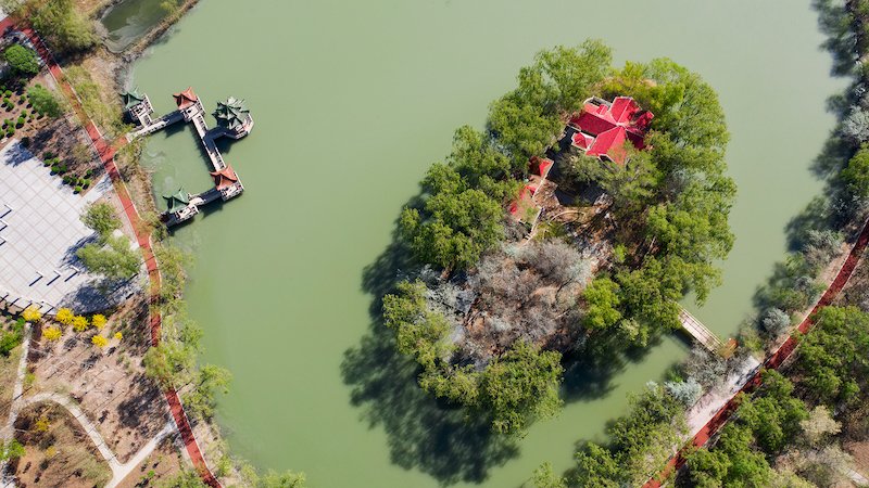 ExploreGansu's tweet photo. #FlyOverGansu Enjoy an aerial view of #Yueya🌙 Lake Park🏞️in Gaotai county, Zhangye city, #Gansu province, and see the endless greenery!🌳 #gogreen #CharmingGansu #GansuView https://t.co/FlA4E3TX1e