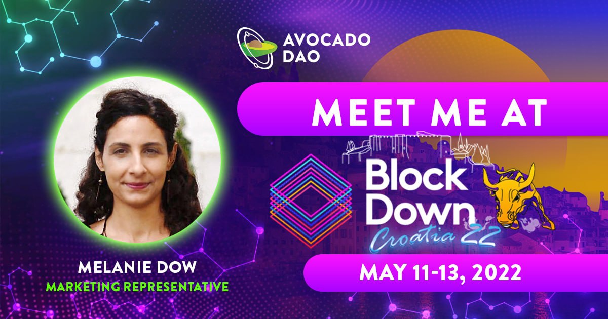 Avocado DAO🥑 tweet media