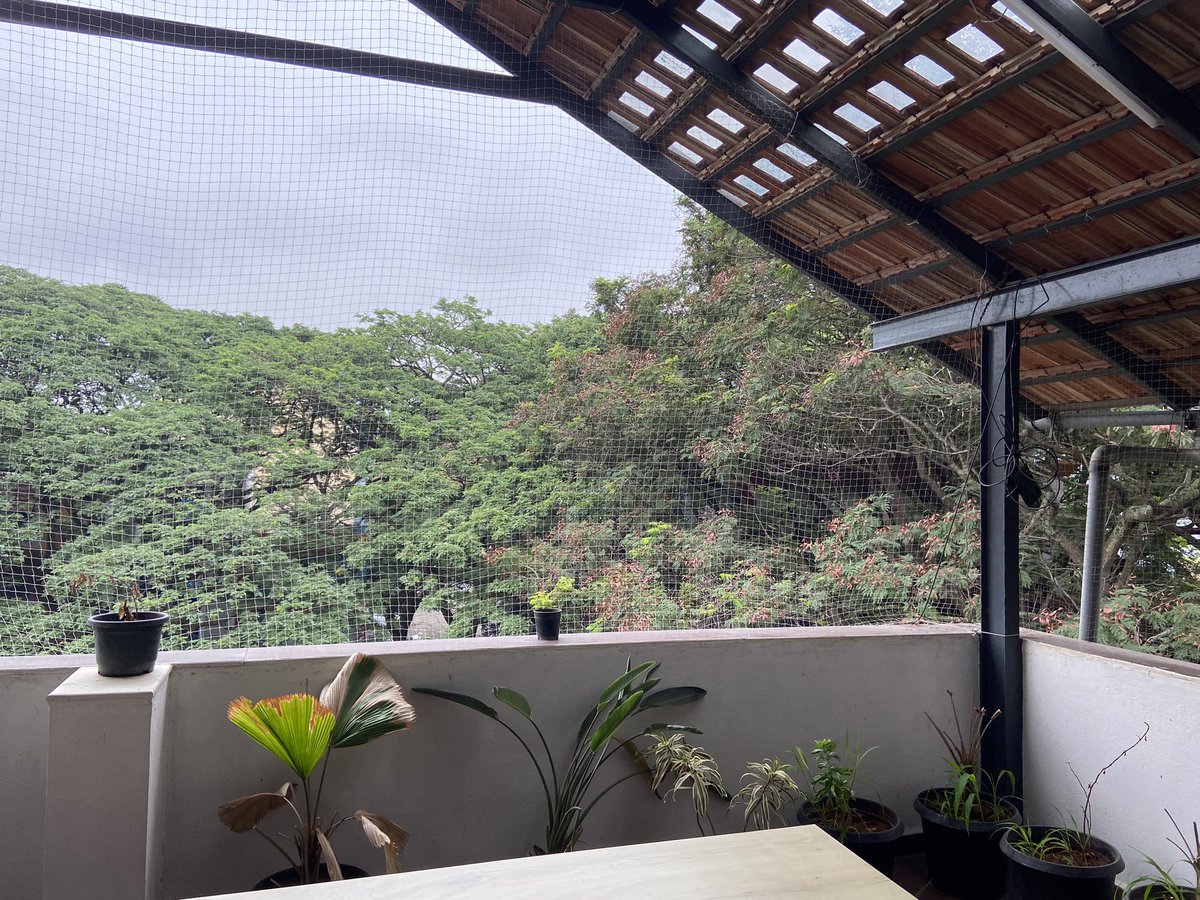It's a lovely weather in bangalore today and Google is asking me to stay indoors. You need to get smarter Google :)  #bengaloreweather #gpay