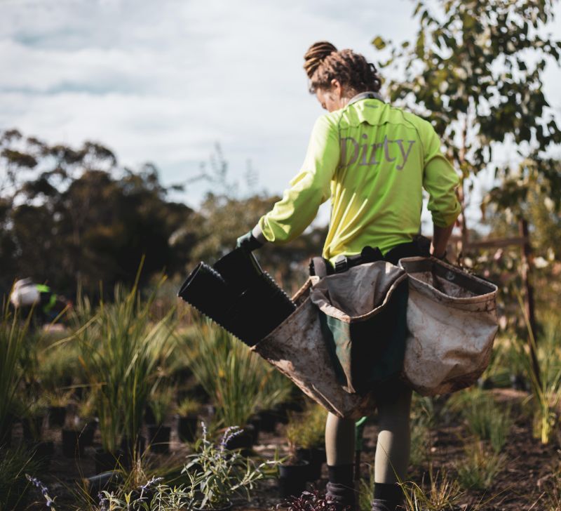 backpackerjob's tweet photo. We plant plants (in brisbane) and you can too. at Dirty Planting (Brisbane) https://t.co/M49MkUtQ64 #BackpackerJobBoard https://t.co/HQ2o7LhS7m
