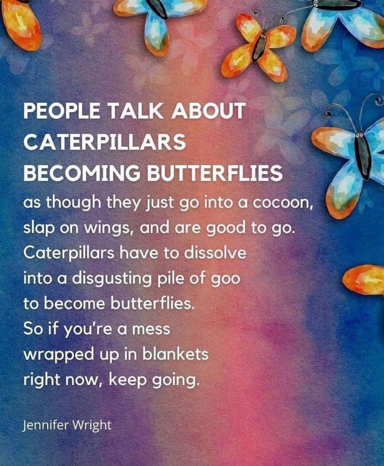 Elizabeth Blye tweet media