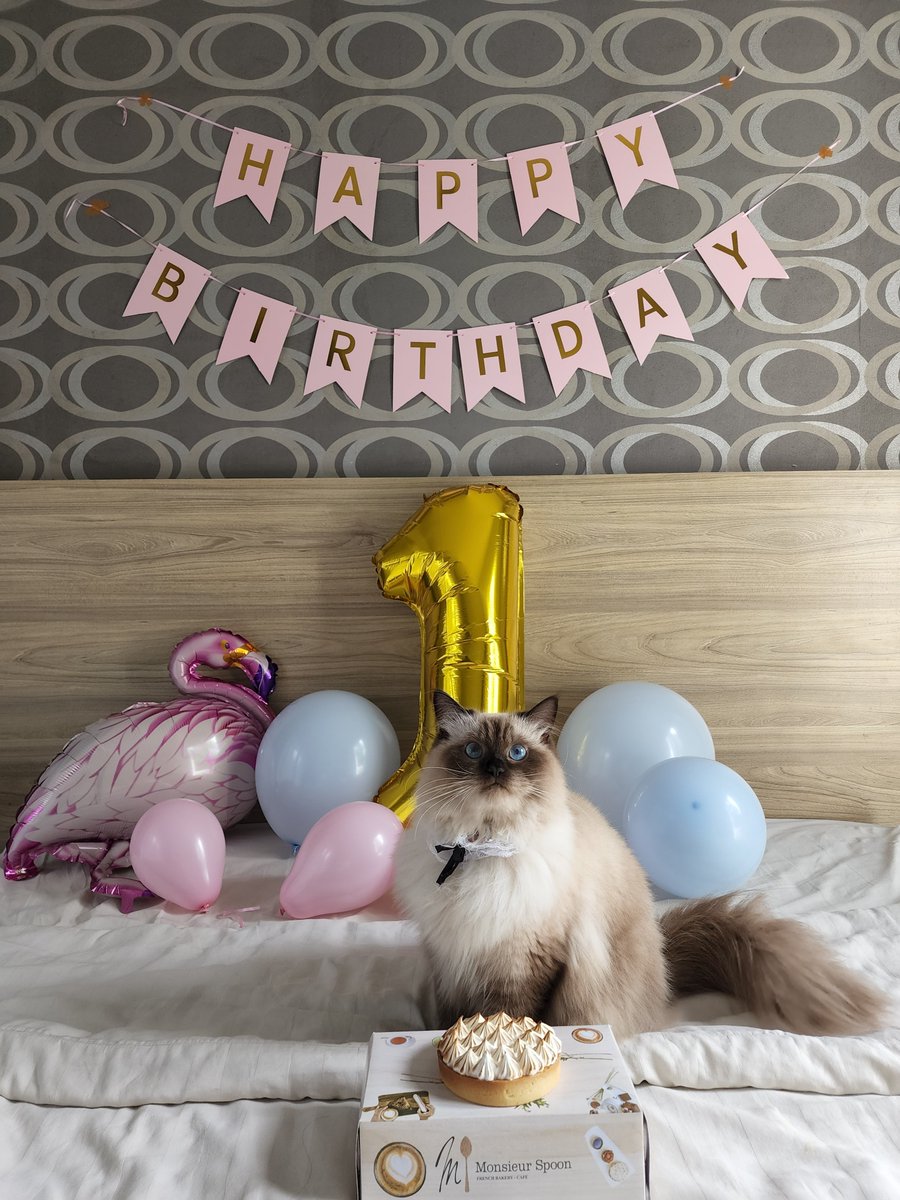 inibacem's tweet photo. GIPEWEI ULTAH BACEM

Bacem 1 tahun guisss 🎊

Yuk, ramein (retweet) ultah cece inces yang ini untuk dapetin grandprize buat 3 follower yang RT https://t.co/hpUDA95jjf