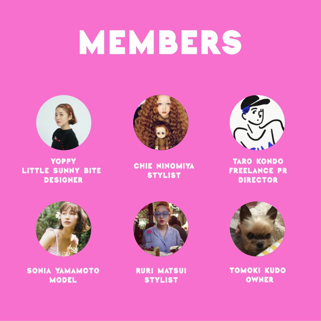 Yoppy Littlesunnybite Twitter