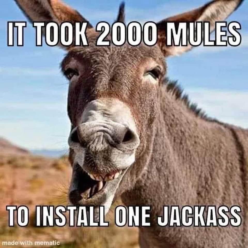 MrWhiteMAGA's tweet photo. https://t.co/WSysK9rsjC